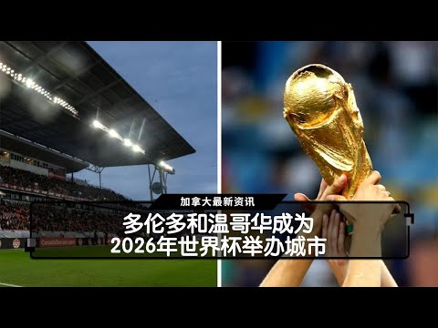 国际马联洛,杉矶奥运资,格赛机制研,世界杯预测,2026世界杯,赛事趋势分析,球队表现,预测模型