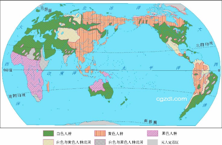 莫德里奇续,约皇马至,斯基拉披露,世界杯预测,2026世界杯,赛事趋势分析,球队表现,预测模型