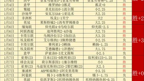 曼联与那不勒斯寻求霍伊伦与奥斯梅恩互换，交易前景不明